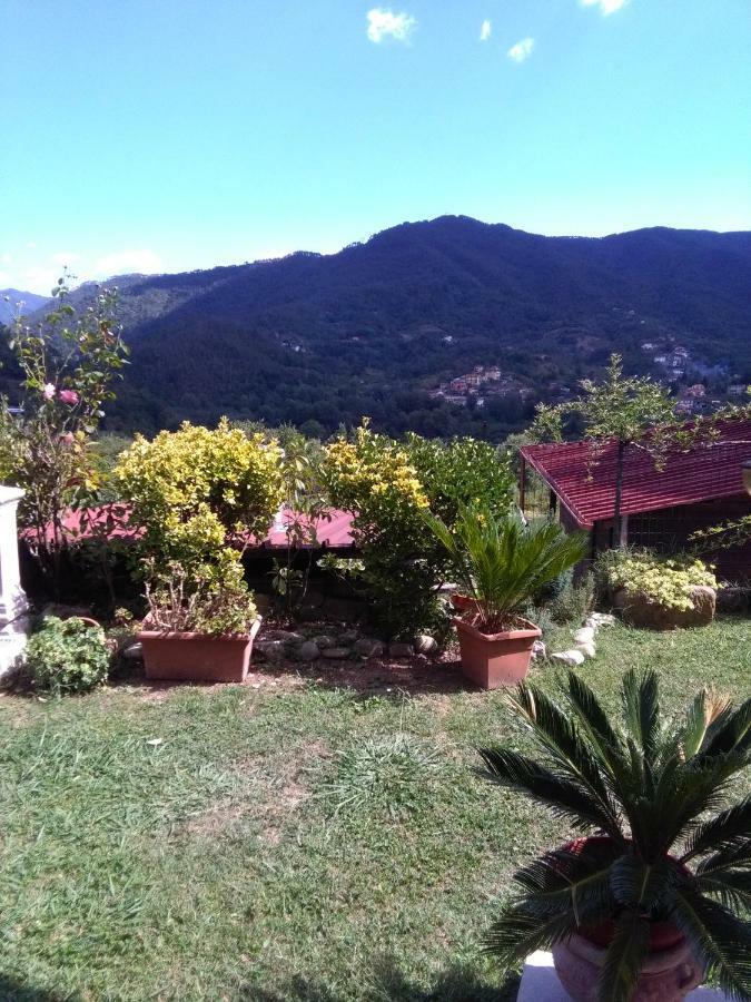Casa Lilly